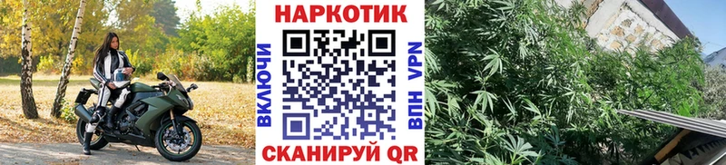 Купить закладку Марихуана Кодеин ГАШ Меф мяу мяу Горно-Алтайск