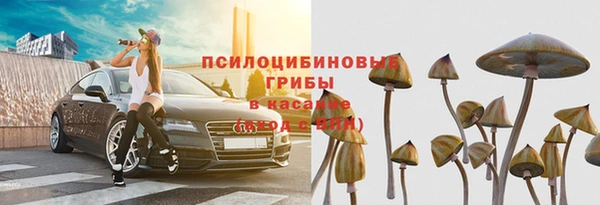 стаф Елизово