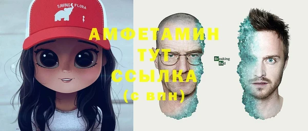ГАЛЛЮЦИНОГЕННЫЕ ГРИБЫ Ельня