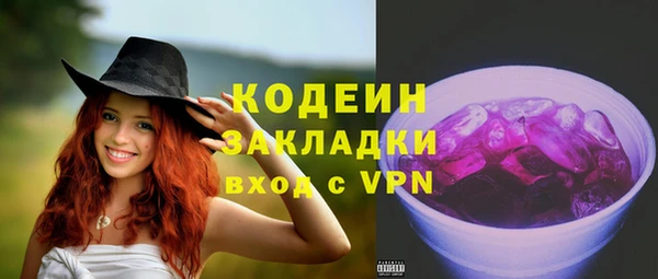 стаф Елизово