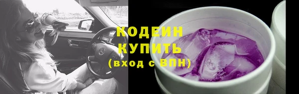 стаф Елизово