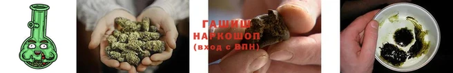 стаф Елизово