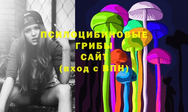 ГАЛЛЮЦИНОГЕННЫЕ ГРИБЫ Ельня