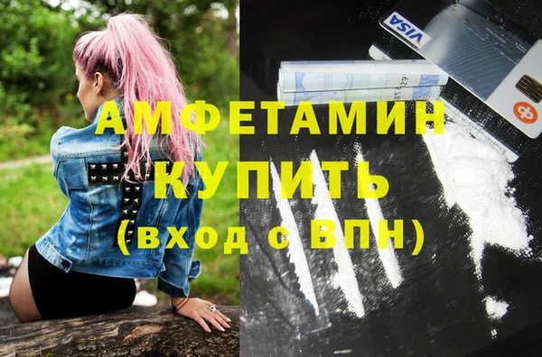 ГАЛЛЮЦИНОГЕННЫЕ ГРИБЫ Ельня