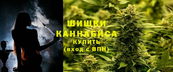 стаф Елизово