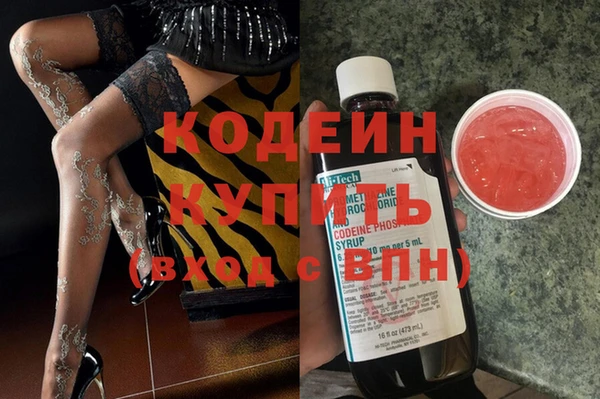 ГАЛЛЮЦИНОГЕННЫЕ ГРИБЫ Ельня