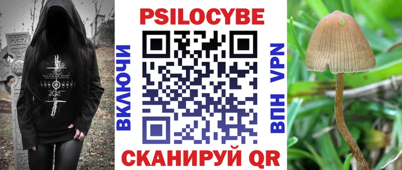 Псилоцибиновые грибы ЛСД  Купить закладки  Горно-Алтайск 